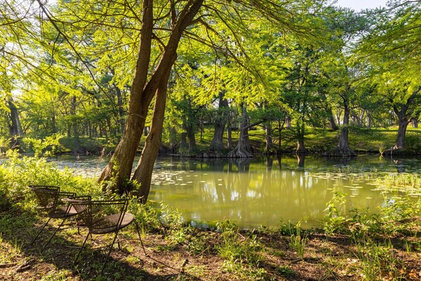 Enjoy fishing, swimming or riverbank relaxing.