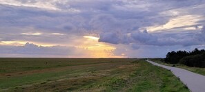 Terrain de l’hébergement 