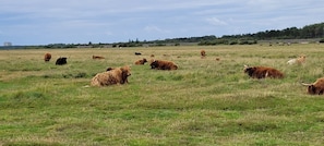 Terrain de l’hébergement 