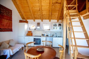 Apartment Kitchen, Dining Area and steps to the mezzanine.