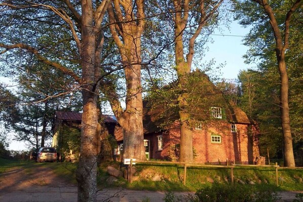Stugans exteriör [sommar]