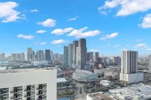 Miami Skyline views from 40th floor private balcony.
