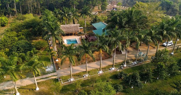 Aerial view of house and pool, surrounded by splendid royal palms!