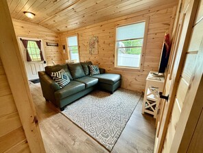 Leather couch with 50" Smart TV