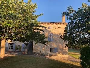 Exteriör