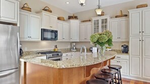 Gourmet kitchen