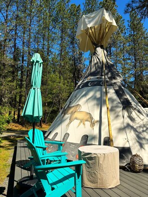 High-end outdoor chairs and propane firepit. 