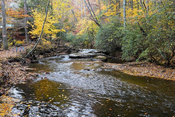 Fightingtown Creek is right in the back yard! 