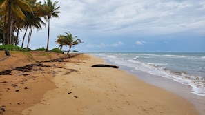 More beach views.