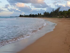 Gorgeous beach just steps from the apartment.