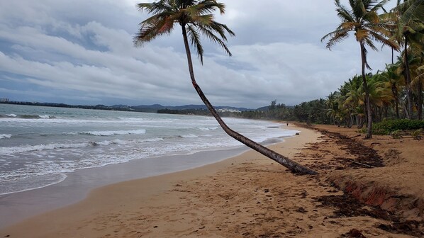 Gorgeous beach with amazing views. A few steps from the apartment.