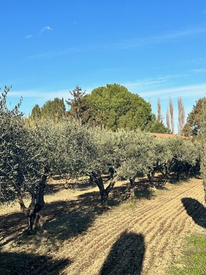 Terrain de l’hébergement 