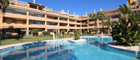 Pool & gardens
