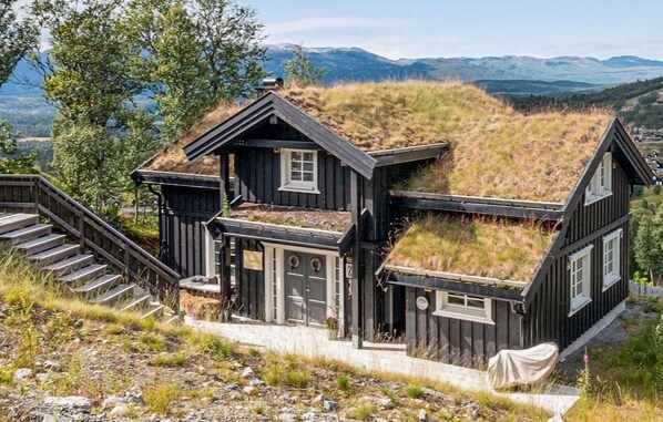 Exteriör