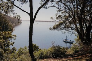 View from the Terrace
