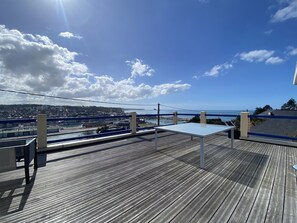 Très grande terrasse avec table de 10 personnes