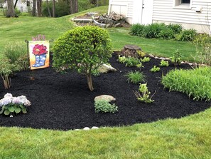 Garden in backyard.