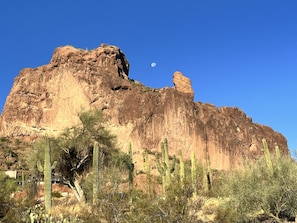 View of the Iconic rock formation known as the Praying Monk with native Saguaros