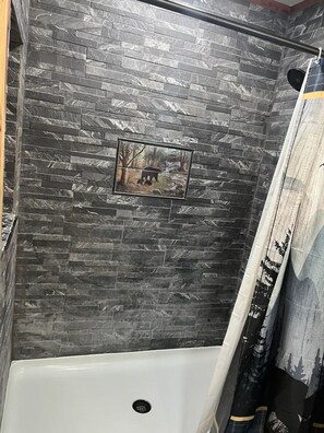 Master bathroom shower 