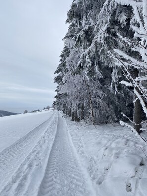 Snow and ski sports