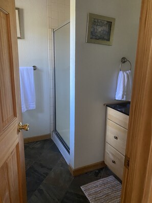 Bathroom off the Master Bedroom