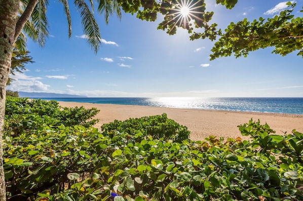 View from the yard looking toward Kaena Point during the serene summer months