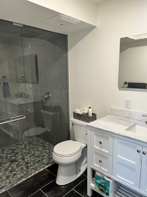 Downstairs Bathroom with Steam Shower