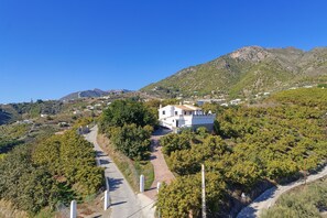 The villa%2C gardens and area around