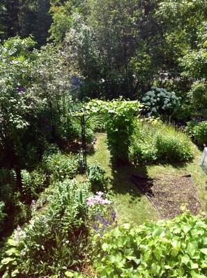 Garden Suite view of the Bear Ridge garden. 