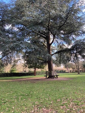 Parco della struttura