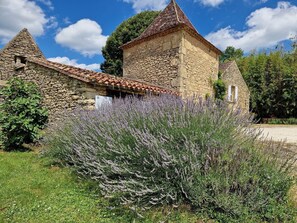 lavandes et pigeonnier du Clos Lascazes Gîtes et chambres d'hôtes de charme en dordogne
