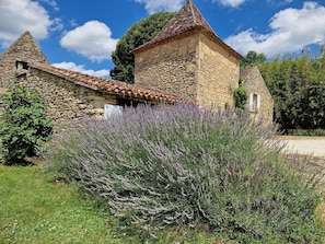 lavandes et pigeonnier du Clos Lascazes Gîtes et chambres d'hôtes de charme en dordogne