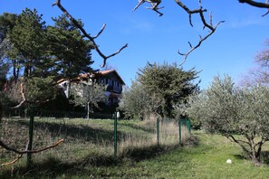 Terrain de l’hébergement 