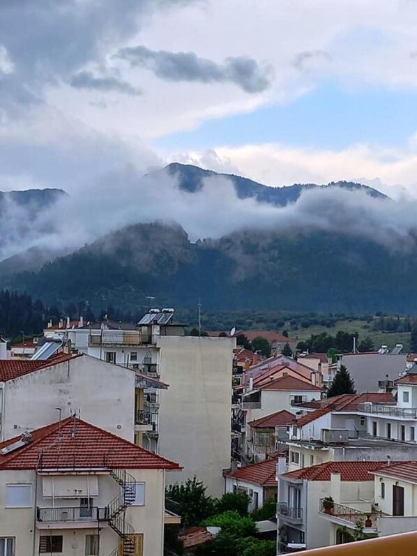 Vista desde la propiedad