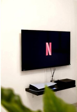Fernseher
