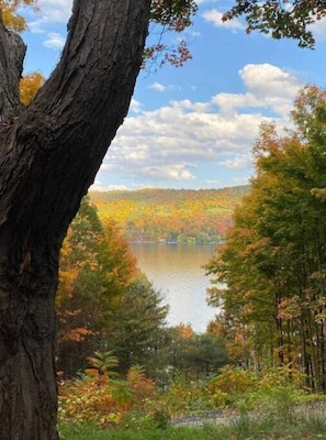 Fall Lake Views