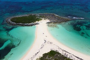 Snorkel around the point at Twin Cove Beach.