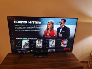 Television