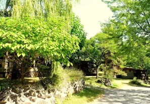 Property grounds