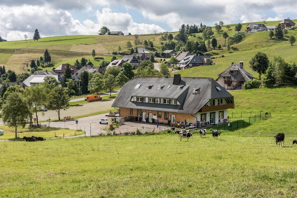 Extérieur