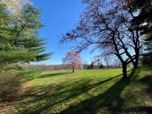Rear yard with mature  trees & plantings