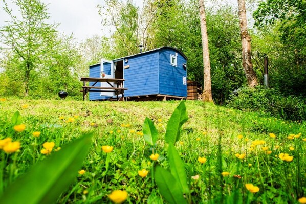 The Kingfisher Shepherd's Hut