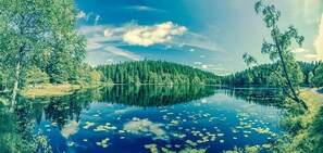 The cabin is right by the beautiful, serene Skjennungen Lake