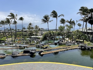 Day time photo from front lobby area - breathtaking!