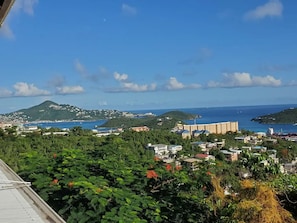 View from property