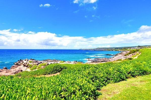 View along the Kapalua Coastal Trail, just steps from your patio! KBV-30G2
