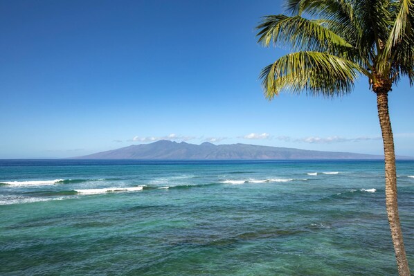 Let nature host your next meal?this lanai offers panoramic peace you can taste, hear, and feel    LOK-B201