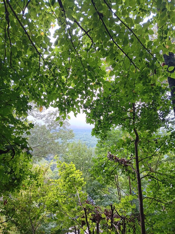 Beautiful view of Lookout Mountain from deck