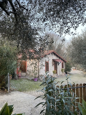 Extérieur