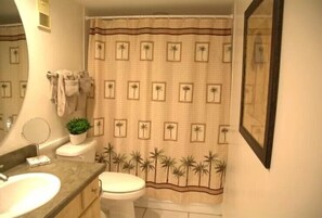 Guest bathroom
